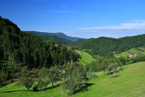 Der Müllerbauernhof im Schwarzwald